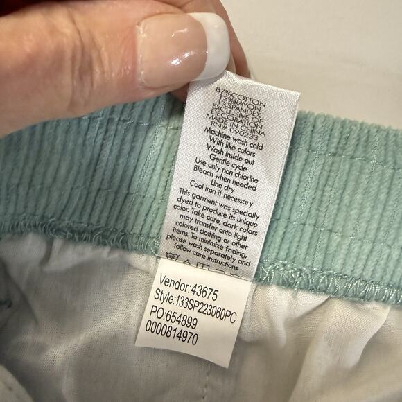 Pacsun ALIEN EMBROIDERED Corduroy Pull On Pants Men’s S Mint Green Slim Fit - Picture 10 of 11